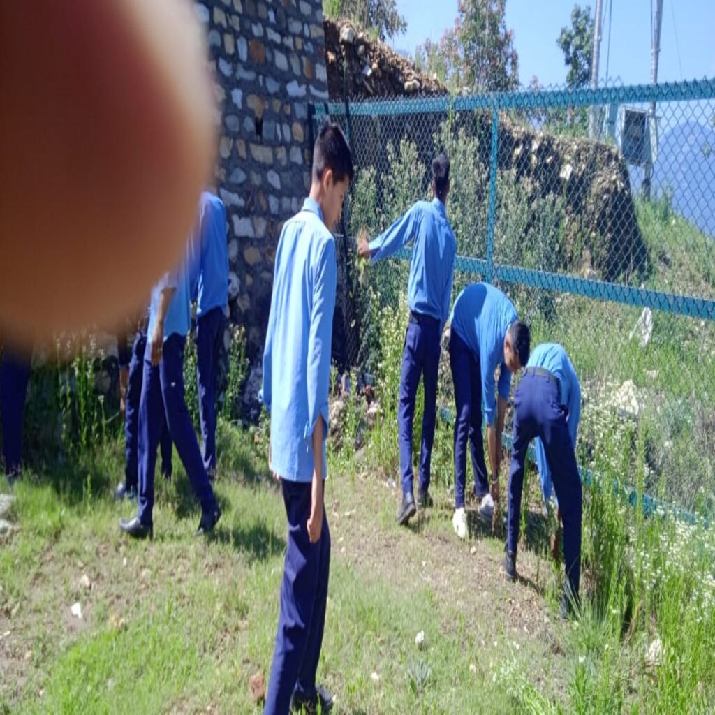 11